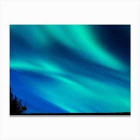 Aurora neon landscape #2 Canvas Print