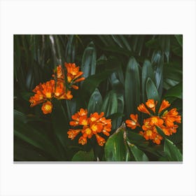 Orange Botanicals Canvas Print