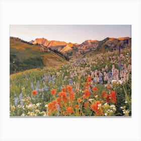 Moutainside Wildflowers Canvas Print