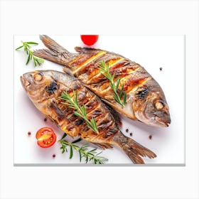 Grilled Fish On White Background 4 Canvas Print