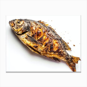 Grilled Fish On White Background 3 Canvas Print