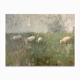 Sheep In The Meadow 1 Canvas Print