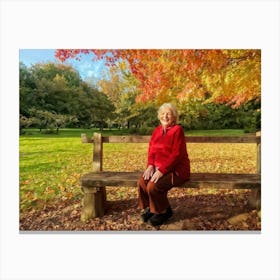 Autumn Leaves On A Bench Canvas Print