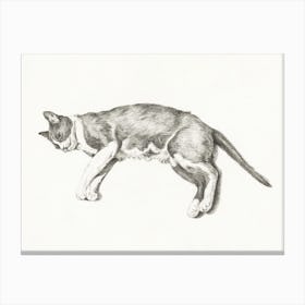 Sketch Of A Lying Cat 1, Jean Bernard Canvas Print