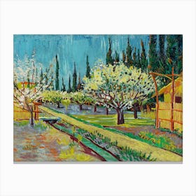 Orchard Bordered By Cypresses (1888), Vincent Van Gogh Canvas Print