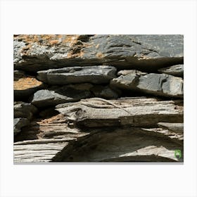 Lizard On Stone Wall 20210824 66ppub Canvas Print