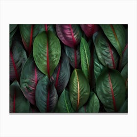 Green Leaves On Black Background Canvas Print