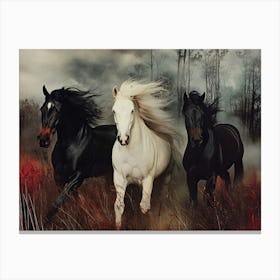 Horses Running Wild Canvas Print