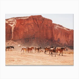 Wild Horse Herd Canvas Print