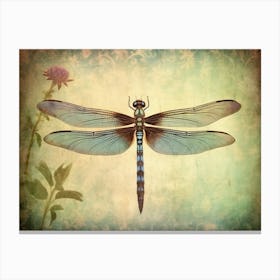 Dragonfly In Meadow Flowers Vintage 4 Canvas Print