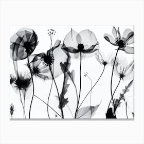 Silhouette Black And White Flowers Canvas Print