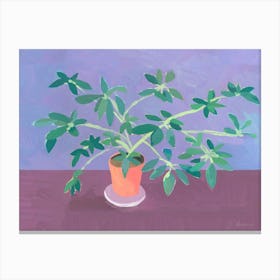 Plant Canvas Print
