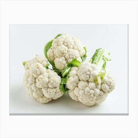 Cauliflower On White Background 6 Canvas Print