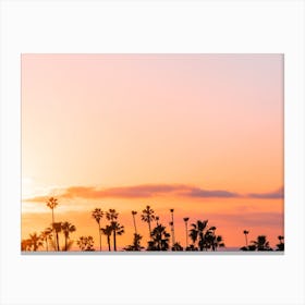 Palm Tree During Vibrant Sunset Canvas Print