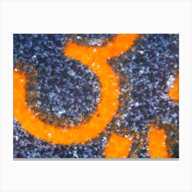 Embedded Digit 3 On Sim Card Under The Microscope Canvas Print