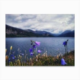 Ennerdale Water Canvas Print