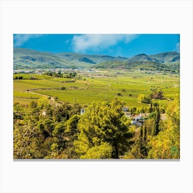 View Of A Vineyard In Catalonia 202308311701114rt1pub Canvas Print