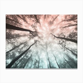 Fir Forest Pastel Dreams Canvas Print