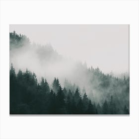 Foggy Forest Canvas Print