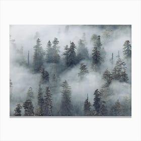 Dreaming in A Redwood Forest Canvas Print