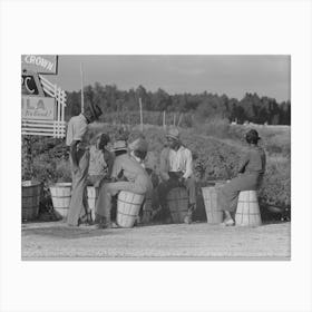 Untitled Photo, Possibly Related To String Bean Pickers Waiting Along Highway For Trucks To Pick Them Up, Ne Canvas Print