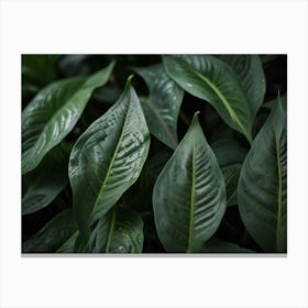 Close Up Of Green Leaves Canvas Print