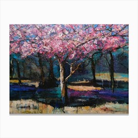 Cherry Blossoms Canvas Print