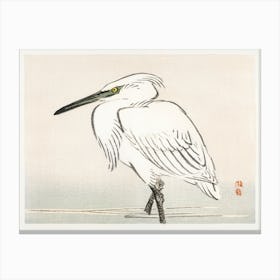 Snowy Egret, Kōno Bairei Canvas Print