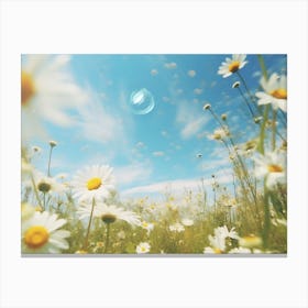 Field Of Daisies Canvas Print