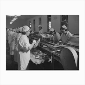 Skinning Cooked Tuna Before Canning, Columbia River Packing Association, Astoria, Oregon By Russell Lee Canvas Print