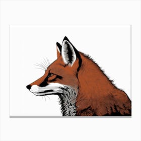 Red Fox Portrait Canvas Print