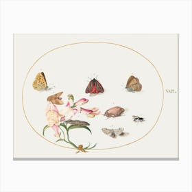 Butterflies With Other Insects And A Snapdragon (1575–1580), Joris Hoefnagel Canvas Print