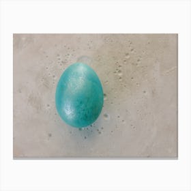 Turquoise Egg Canvas Print