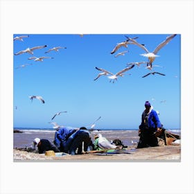 Seagulls On The Beach Canvas Print