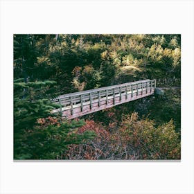 Forest Crossing Canvas Print