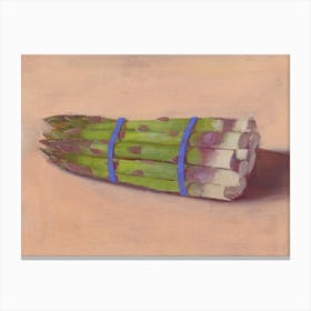 A Bundle Of Fresh Asparagus Canvas Print