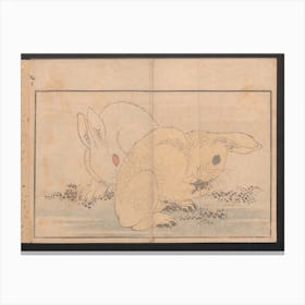 Rabbitt, Katsushika Hokusai Canvas Print