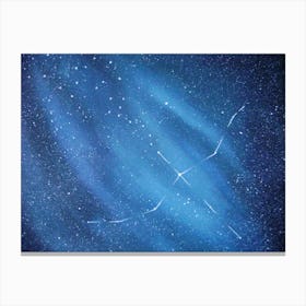 Swan Constellation Canvas Print