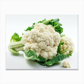 Cauliflower On White Background 5 Canvas Print
