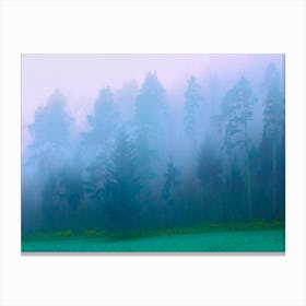 Foggy Morning in forest 1 Canvas Print