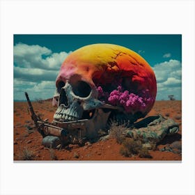Skull In The Desert 2 Canvas Print