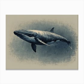 Humpback Whale Canvas Print