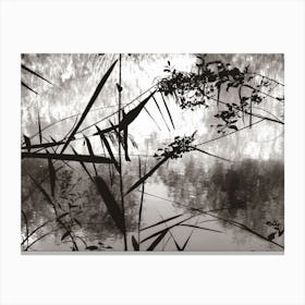 Artful Riverbank Scenery in Enfield Town Park B&W Canvas Print