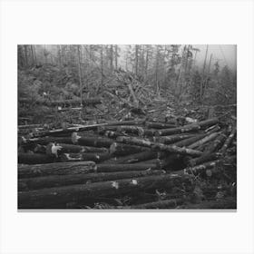 Untitled Photo, Possibly Related To Logs, Long Bell Lumber Company, Cowlitz County, Washington, In The Yar Canvas Print