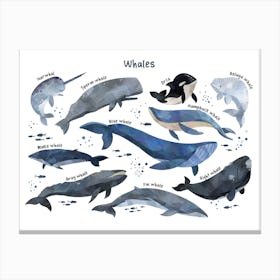 Watercolour Whales Horizontal Canvas Print