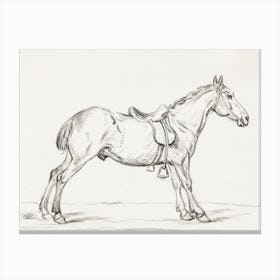Saddled Horse, Jean Bernard Canvas Print