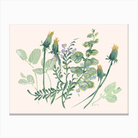 Closed Dandelions Canvas Print