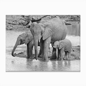 Elephants At The River Canvas Print