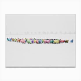 Colorful Sheep In The Snow Canvas Print