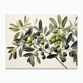 Olive Branch 1 Canvas Print